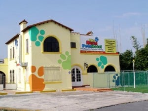 Ventajas de un Hospedaje para Mascotas en puerto rico