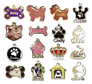 Nombres para Mascotas en japones