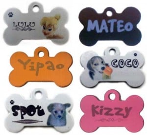 Nombres para Mascotas Machos y Hembras