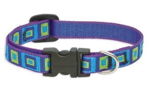 Beneficios de Los Collares para Perros con gps