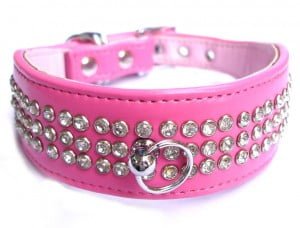 Ventajas de Los Collares para Perros con nombres