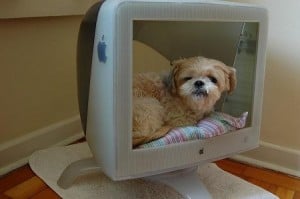 Ideas de Camas para Perros Pequeños