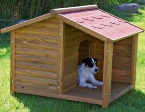 Mejor Casa de Mascotas veterinaria