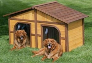 Tipos de Casa de Mascotas los ange,es