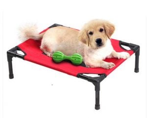 conoce los mejores trampolines para perros en venta