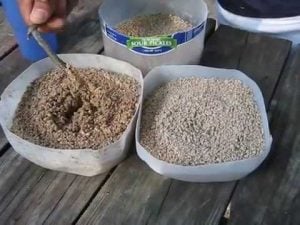 Alimento Para Aves Casero silvestres