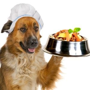 Verduras para Perros alergicos