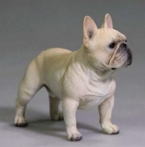 French Bulldog precio