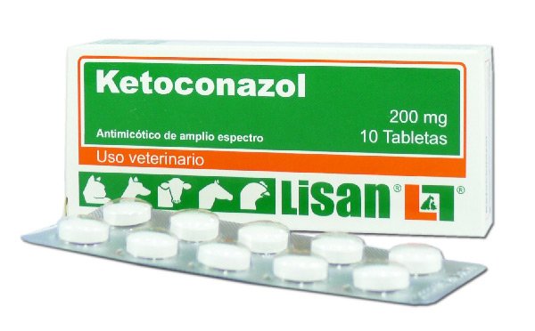 Ketoconazol en perros