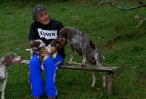 Perro Pointer aleman