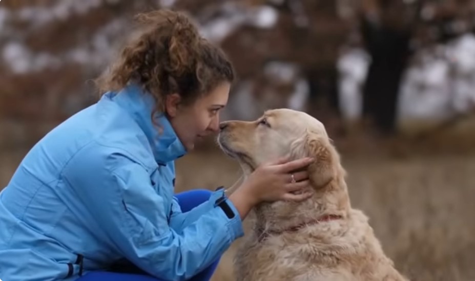 Comportamientos en Perros antes de morir
