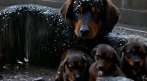 perros abandonados animados