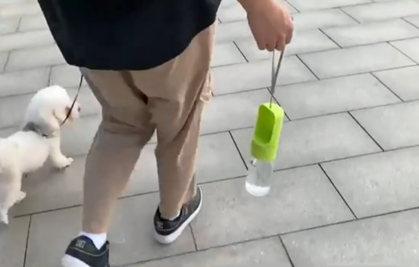 Bebederos para Perros automaticos