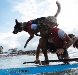 Chaleco Salvavidas adulto